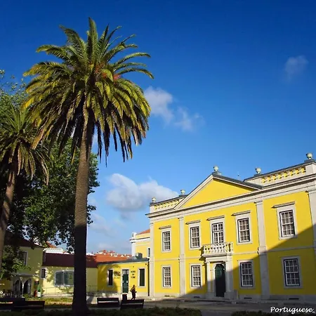 Camellia House Σπίτι διακοπών